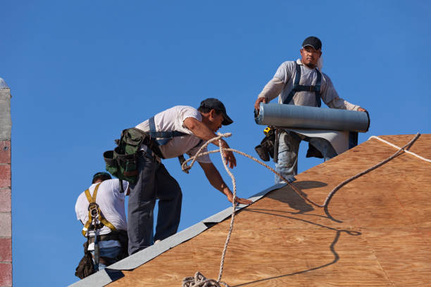 Best Flat Roof Repair Services  in Hinckley, IL