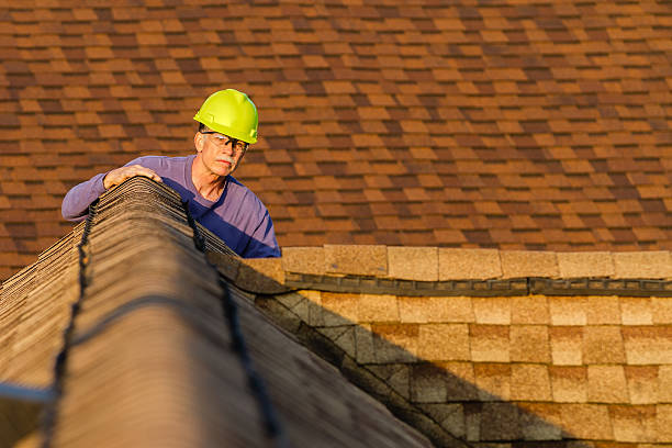 Best Local Roofing Companies  in Hinckley, IL